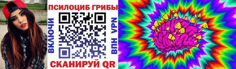 Псилоцибиновые грибы мицелий  Кулебаки 